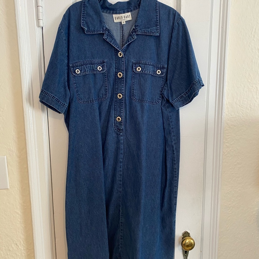 David Dart short sleeve denim dress!